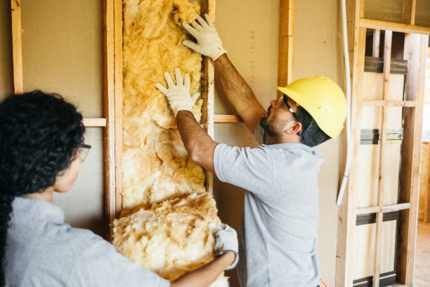 Best Local Insulation Services  in Leon, IA